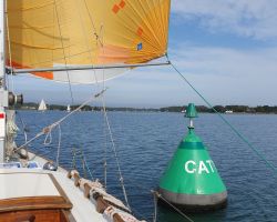 Basse Catis en Riviere d'Auray