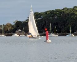 La rivière d'Auray au près