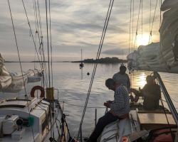 Fin de journee a l'Ile d'Arz