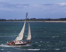 Salangane - entree du Golfe 25 mai