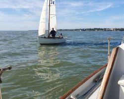 Anelor accueillie par Whisper à son arrivée a Pornic