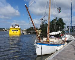 13 Mai 11h Port d'Arzal ponton A