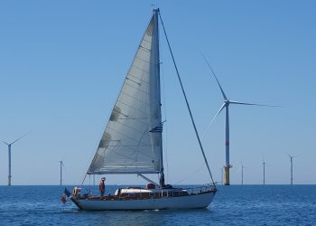 Salangane entre la Banche et les éoliennes